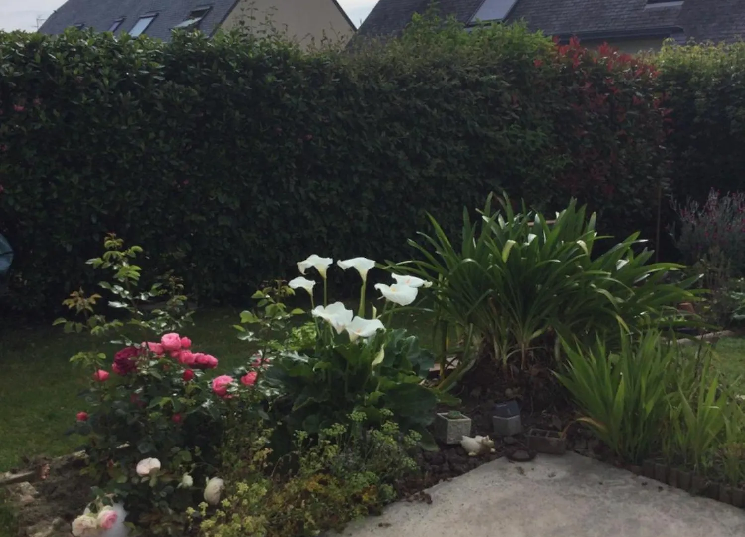 Maison Dans Un Ecrin De Verdure Saint-Brieuc France